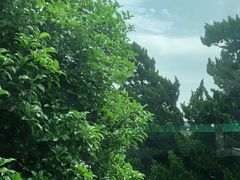-南京钟山宾馆(江苏省会议中心)