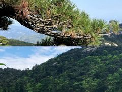 -天柱山风景区