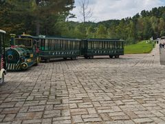 -五营红松林海景区