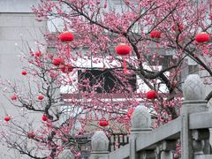 -苏州上方山国家森林公园