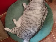 -H立方实景剧情密室(天河旗舰店)