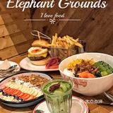 大象园只适合吃Brunch ！？