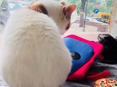 -平行世界·猫咖(首经贸店)