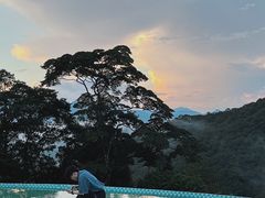-龙岩森林水乡景区