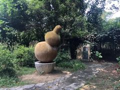-广西壮族自治区药用植物园