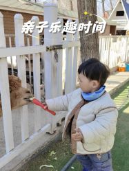 -蓝可可亲子乐园(北苑店)