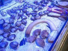 -十六蒲(桂林路店)