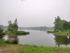 -东郊湿地公园