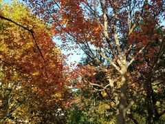 -香山公园-东宫门售票处