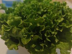 -韩香福烤肉庄园(文化西路店)