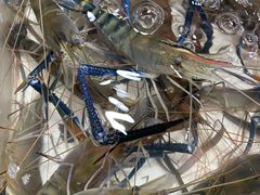 -青石桥市场北1-27号