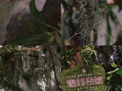-杭州平安悦坊 PAFC LIVING