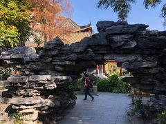 -顺峰山公园