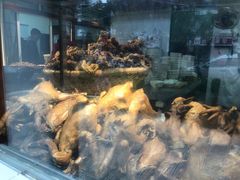 -沈卫国卤鸡店(总店)
