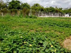 -任达丞国农庄(任达山庄店)