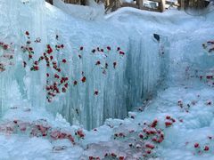 -洛阳白云山景区