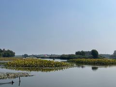 -白洋淀景区