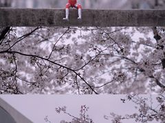 -龙美术馆(西岸馆)