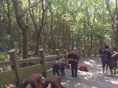 -普陀山风景名胜区-法雨禅寺