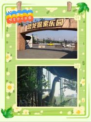 -恐龙探索乐园(磁器口店)