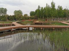 -东郊湿地公园