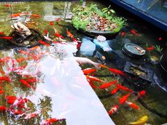 -野蔓果·山野菜(西湖景区·龙井茶田店)