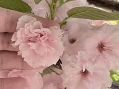 -多宾韩国料理(学衡路店)