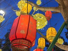 -龙华寺
