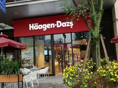 门面-哈根达斯(龙湖时代天街店)