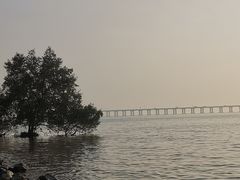 -宝安西湾红树林湿地公园