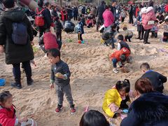 -枫香湖儿童公园