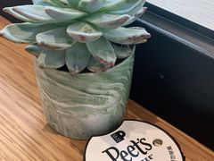 -Peet's Coffee皮爷咖啡(大学路店)