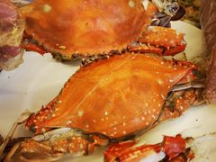 -禾斗海鲜自助(市南银座店)