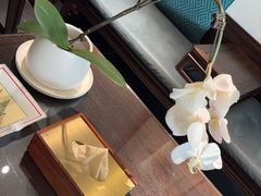 -浩运·海鲜青岛菜·海胆水饺(石老人店)