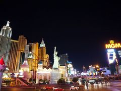 -拉斯维加斯永利酒店