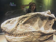 -自贡恐龙博物馆