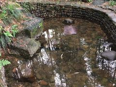 -山沟沟景区