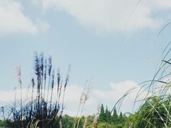 -贵阳市花溪国家城市湿地公园