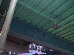 -海合安青岛极地海洋公园