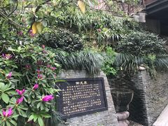 -十八棵（老龙井）御茶园(老龙井店)