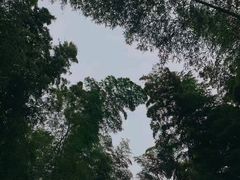 -同里国家湿地公园