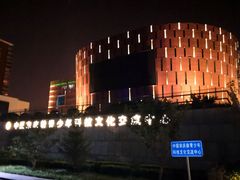 -中国宋庆龄青少年科技文化交流中心