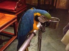 那家小馆(中关村店)-那家小馆•北京菜•烤鸭(中关村店)