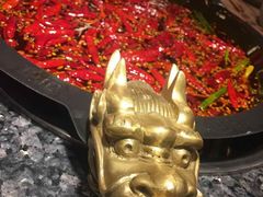 -蜀大侠火锅(东园路店)