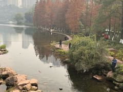 -重庆彩云湖湿地公园