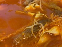 -鱼你在一起(福田安吉尔店)