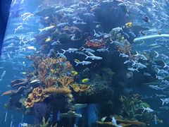 -多彩贵州城极地海洋世界