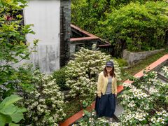 -广州神农草堂中医药博物馆