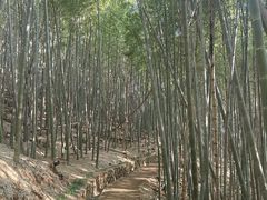 -南北湖风景区