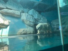 -泉城欧乐堡海洋极地世界
